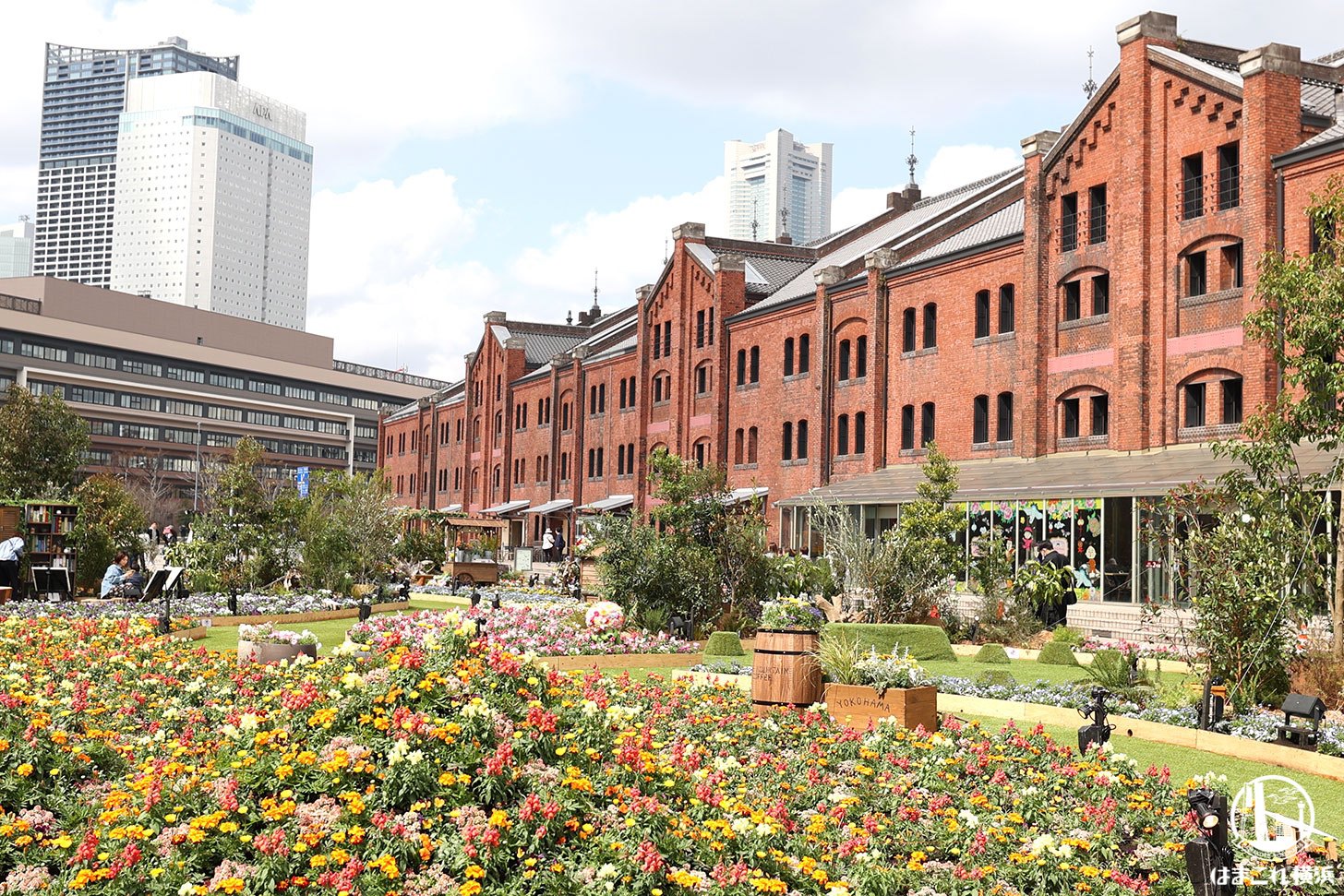 横浜赤レンガ倉庫「フラワーガーデン2026」開催中!咲き溢れる花々と音色が織りなす春のお出かけスポット