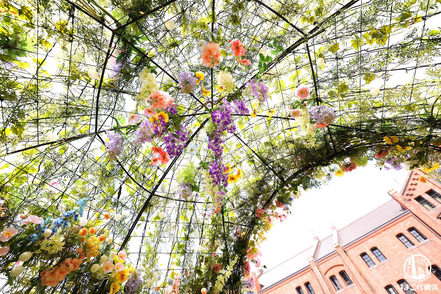 花かまくら内で撮った写真