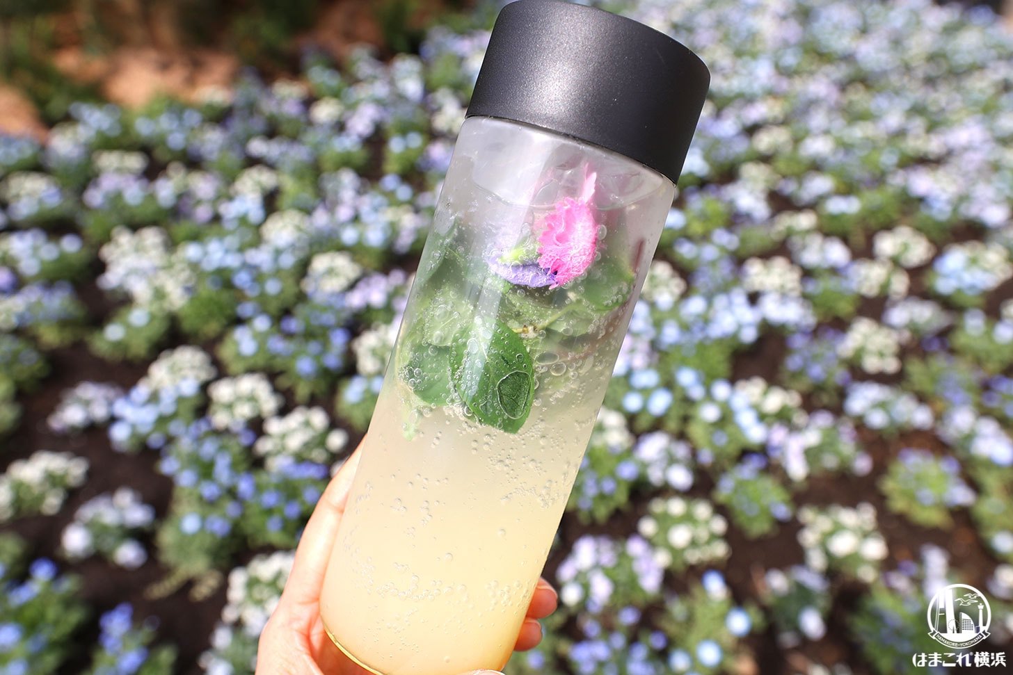 フラワーガーデンパフェヴァージンモヒート(モクテル)