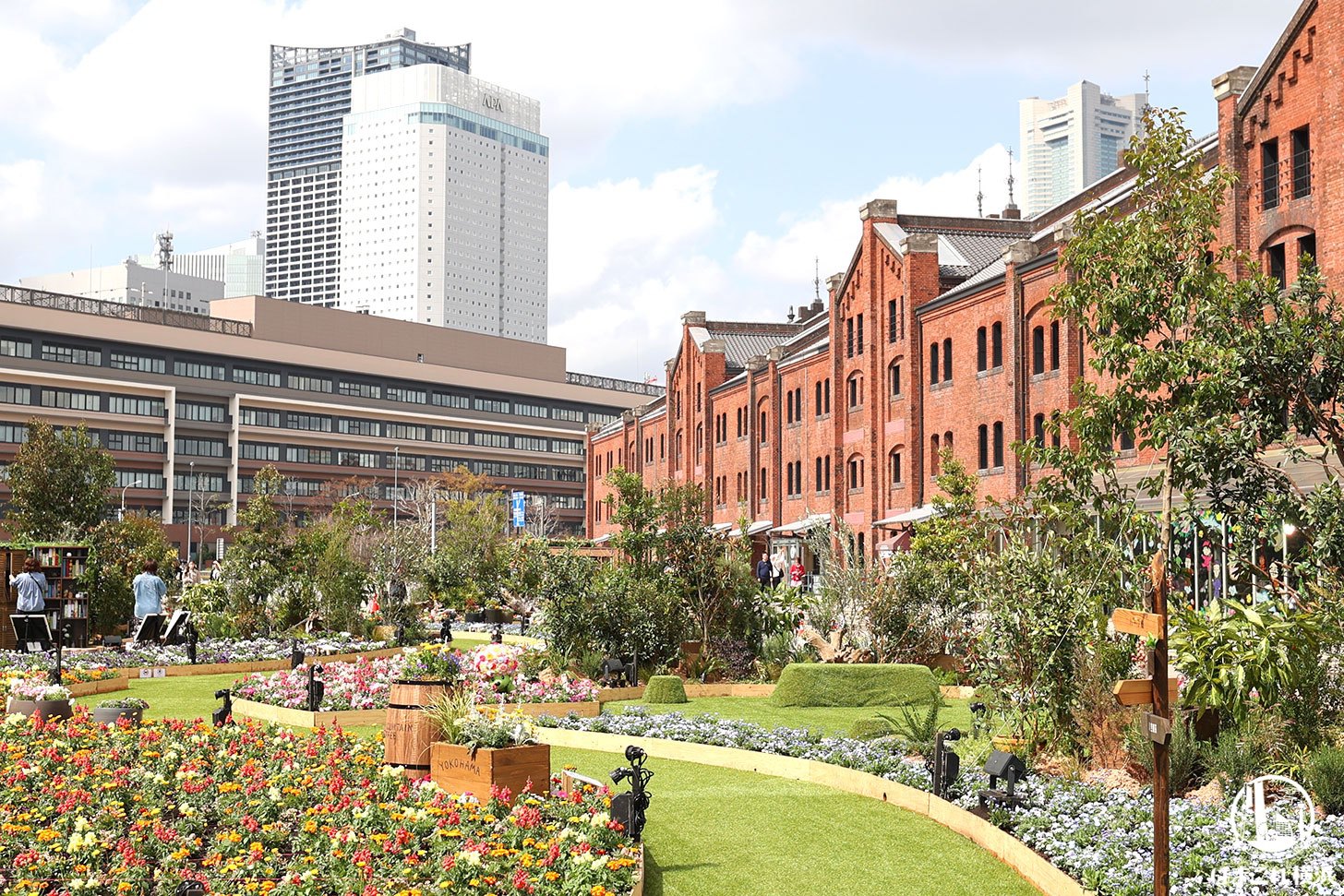 10以上のエリア