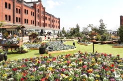 横浜赤レンガ倉庫「フラワーガーデン2026」開催中！咲き溢れる花々と音色が織りなす春のお出かけスポット