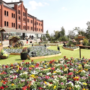 横浜赤レンガ倉庫「フラワーガーデン2026」開催中!咲き溢れる花々と音色が織りなす春のお出かけスポット