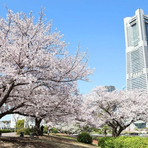 ガーデンネックレス横浜2026開催決定！横浜の街を舞台に桜・チューリップ・バラが季節の花リレー