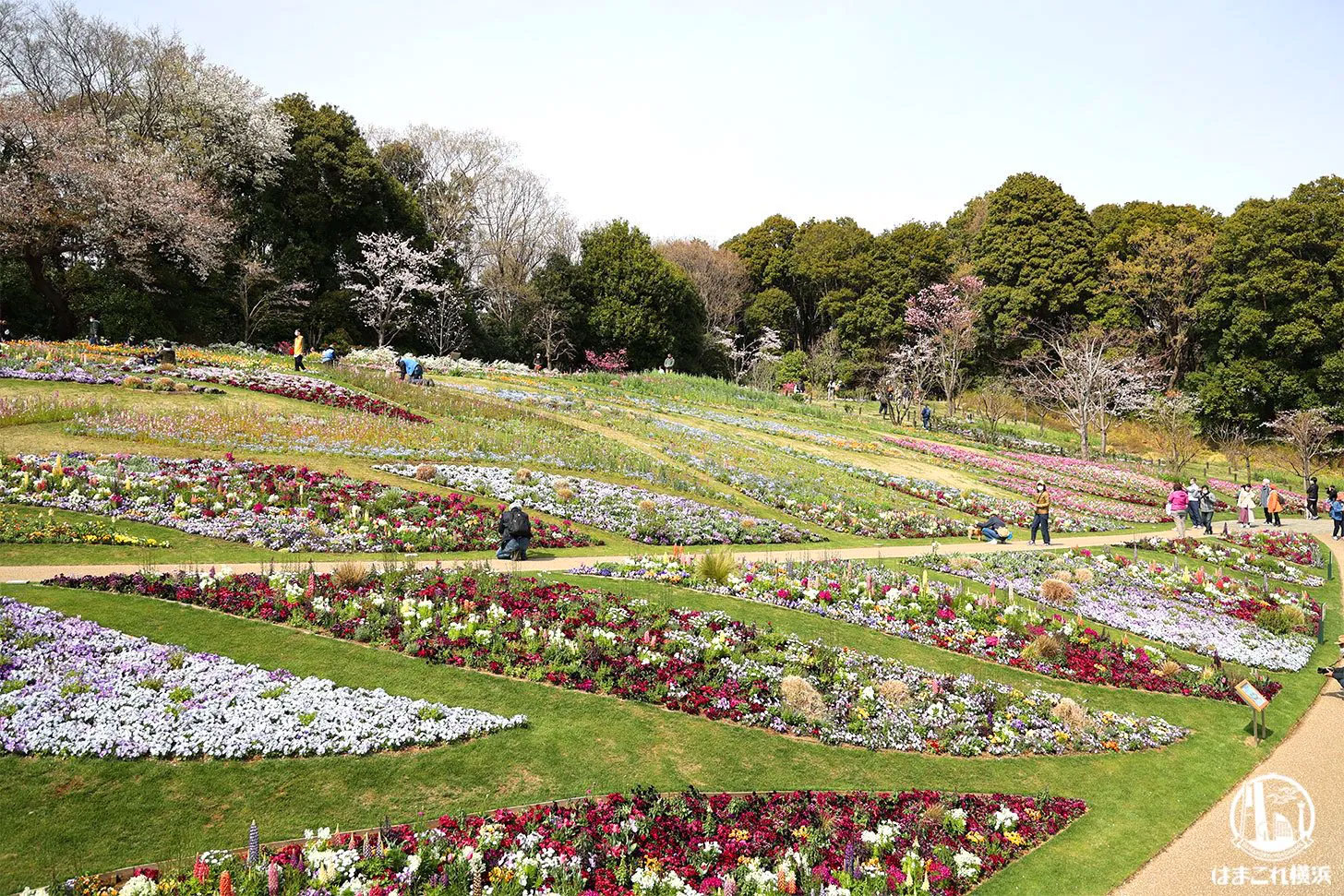 里山ガーデンフェスタ