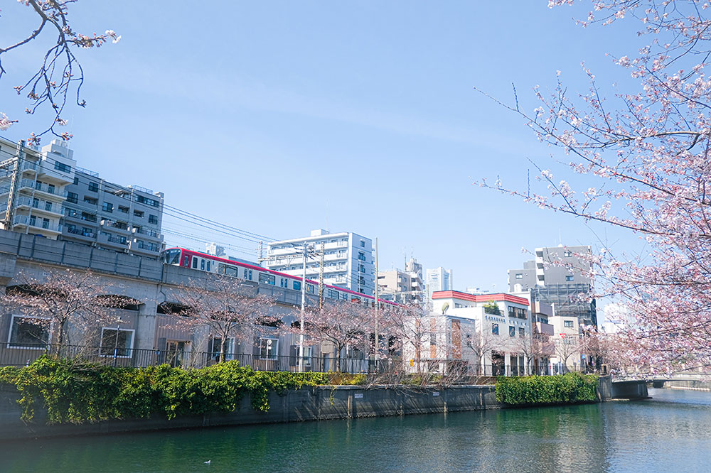 横浜・黄金町「桜とコーヒー」開催！コーヒー飲み比べラリーやパン・グルメのお店が集う週末