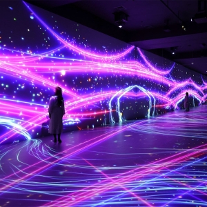 没入型体験施設「ワンダリア横浜」非日常の視点にダイブ！自然や生き物との出会い味わう映像演出