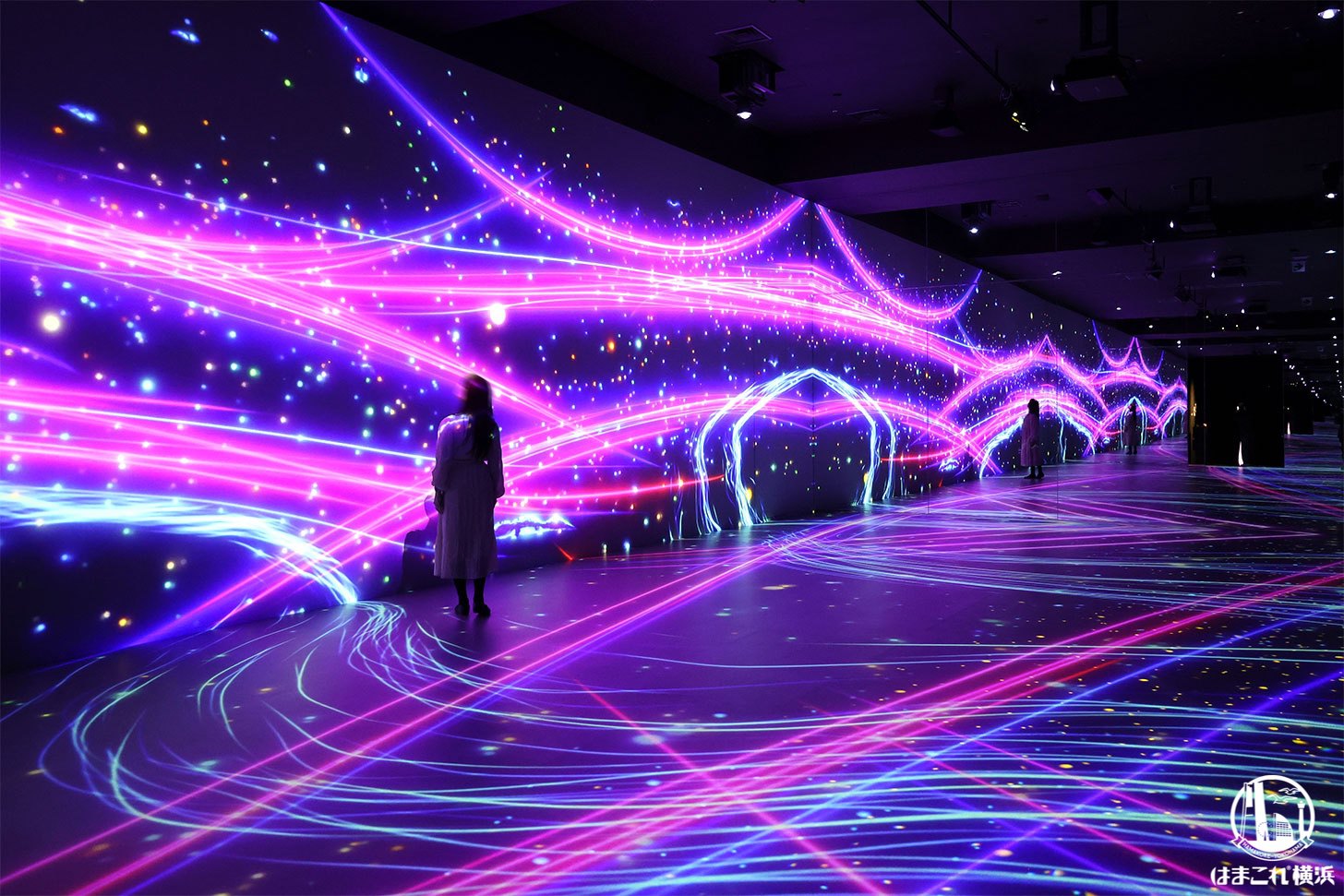 没入型体験施設「ワンダリア横浜」非日常の視点にダイブ！自然や生き物との出会い味わう映像演出