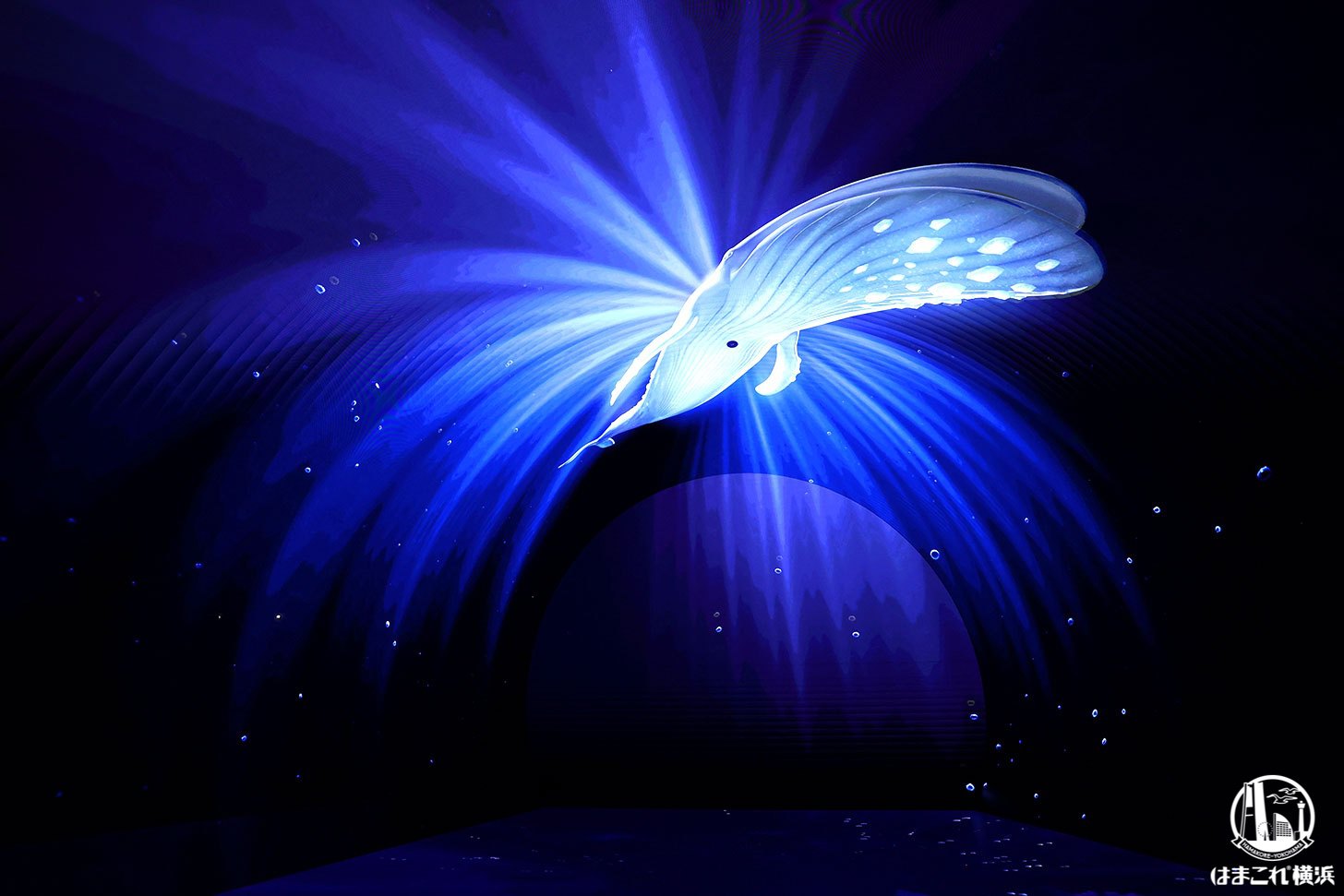 ダイブ・トゥ・ブルー