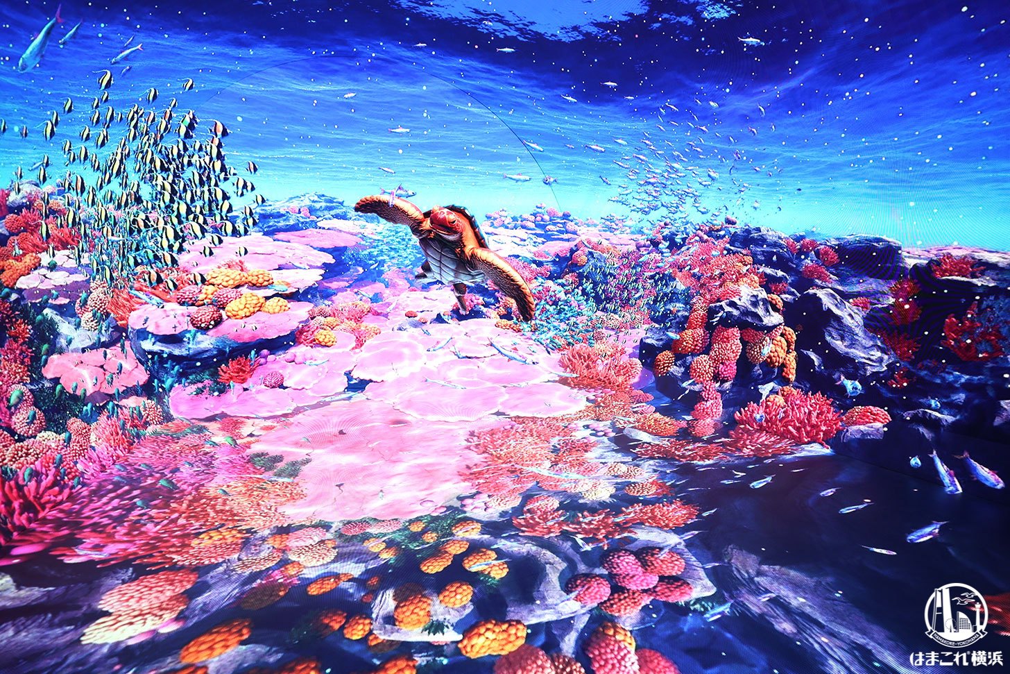 ダイブ・トゥ・ブルー