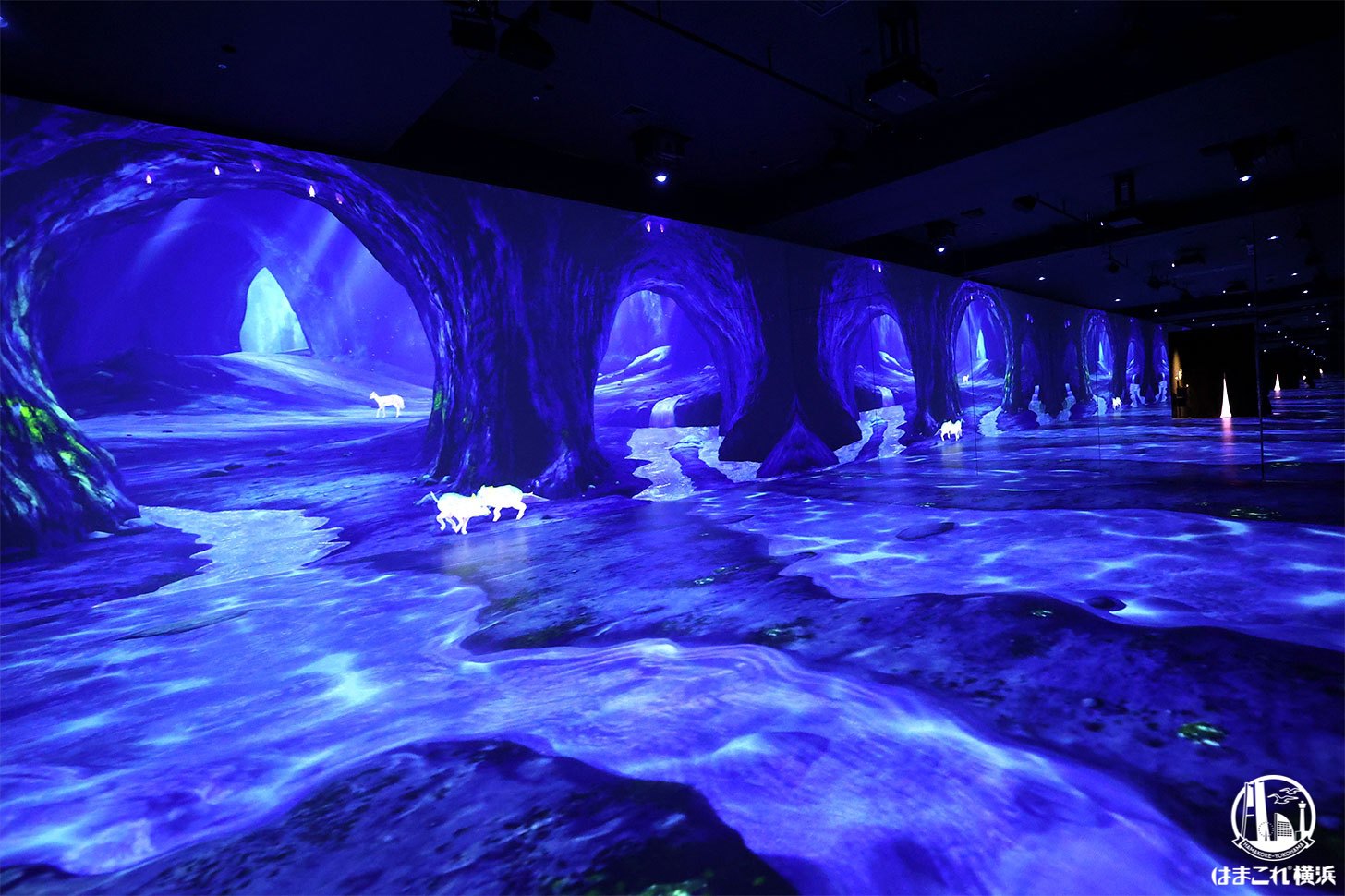 ゾーン4「闇にふれ、光と踊る」