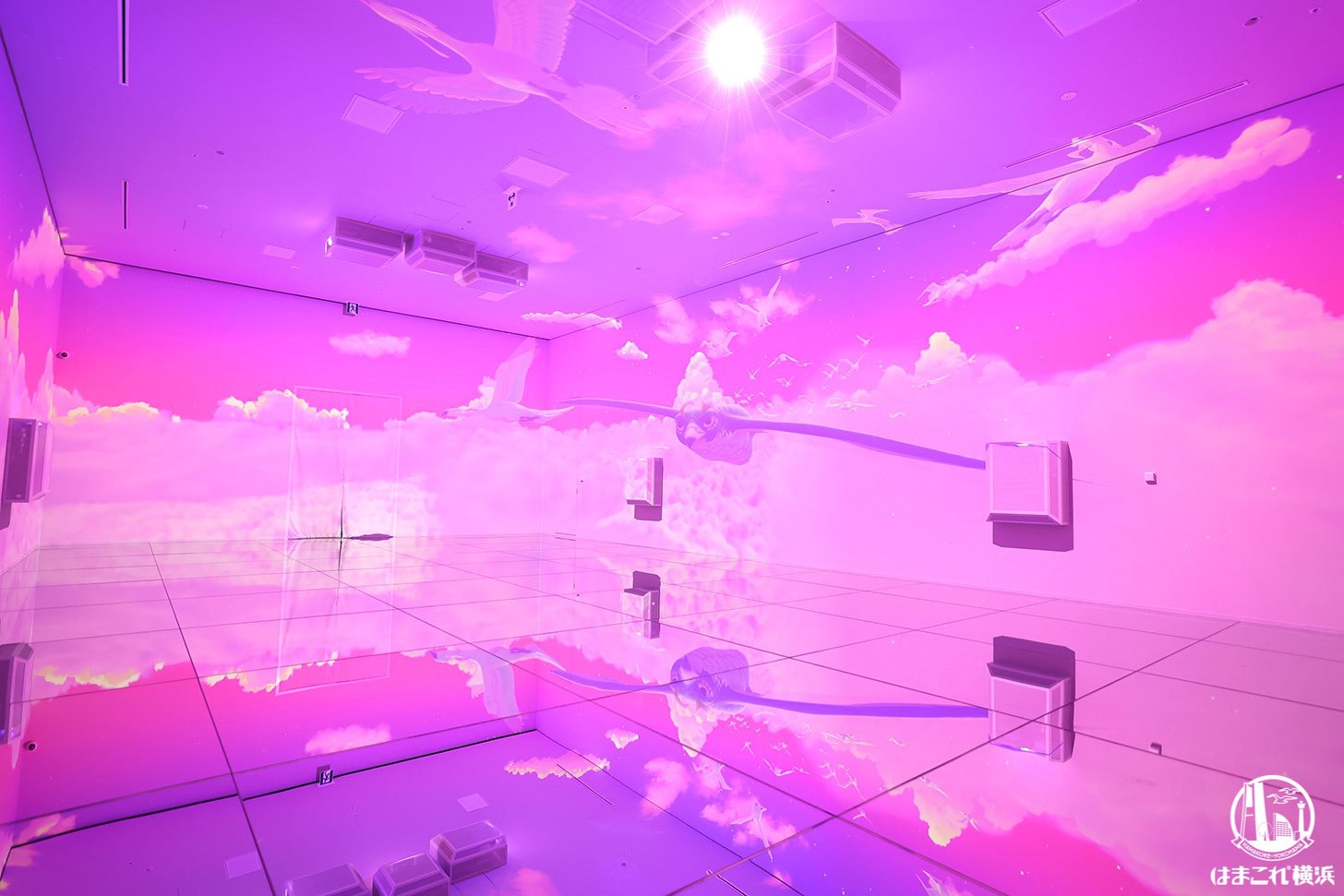 ゾーン5「大空に舞う」