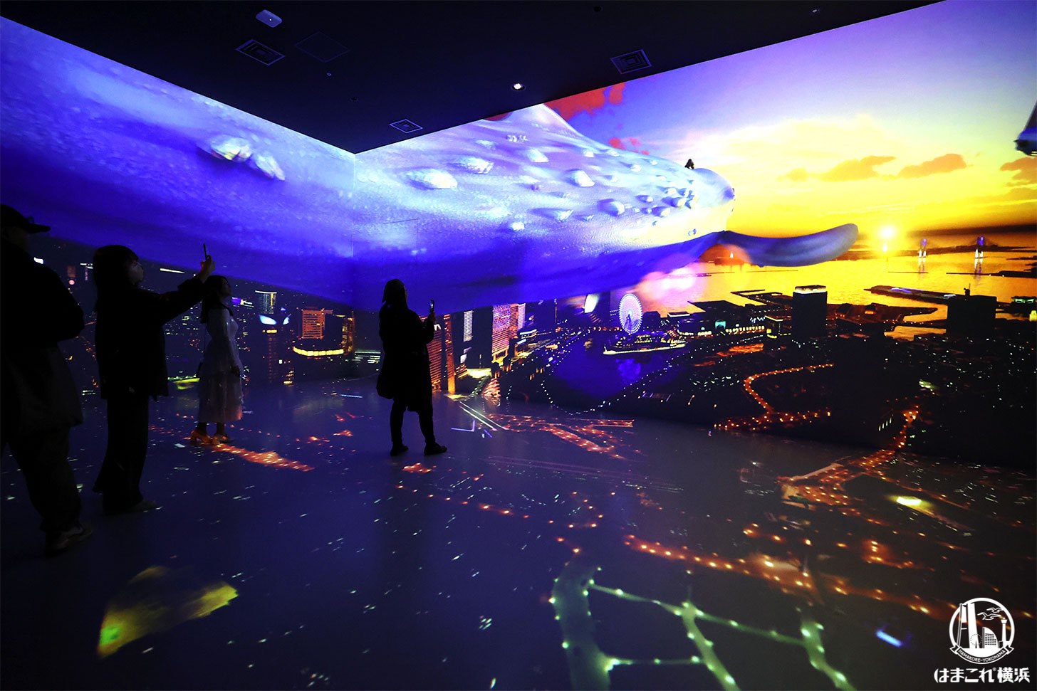 ゾーン6「イントゥ・ザ・ワンダー」