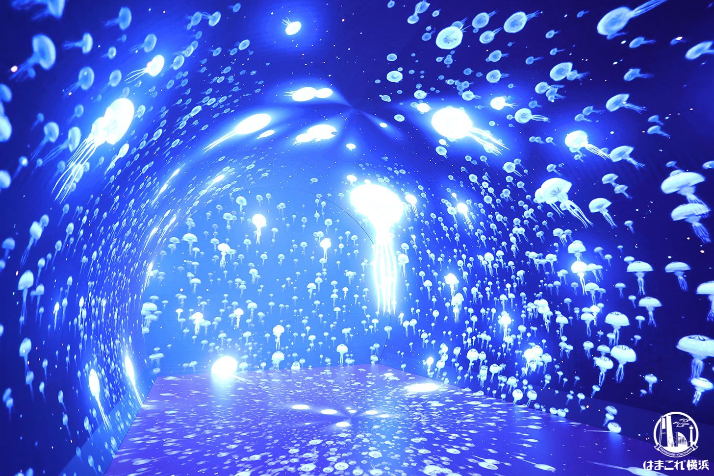 ダイブ・トゥ・ブルー