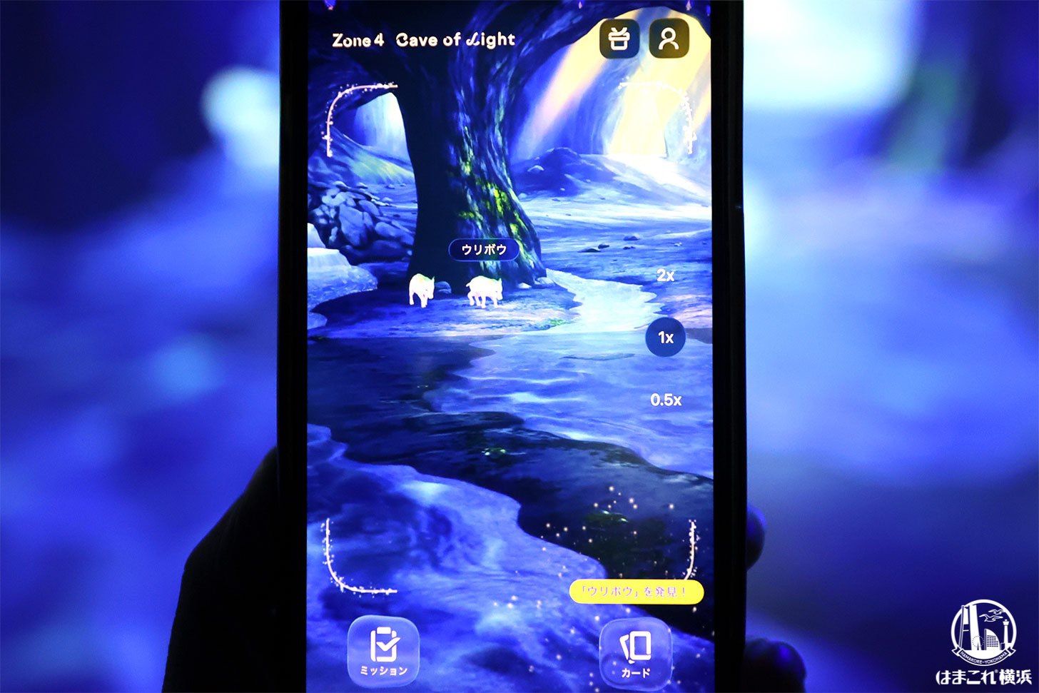 ワンダリアアプリ起動画面