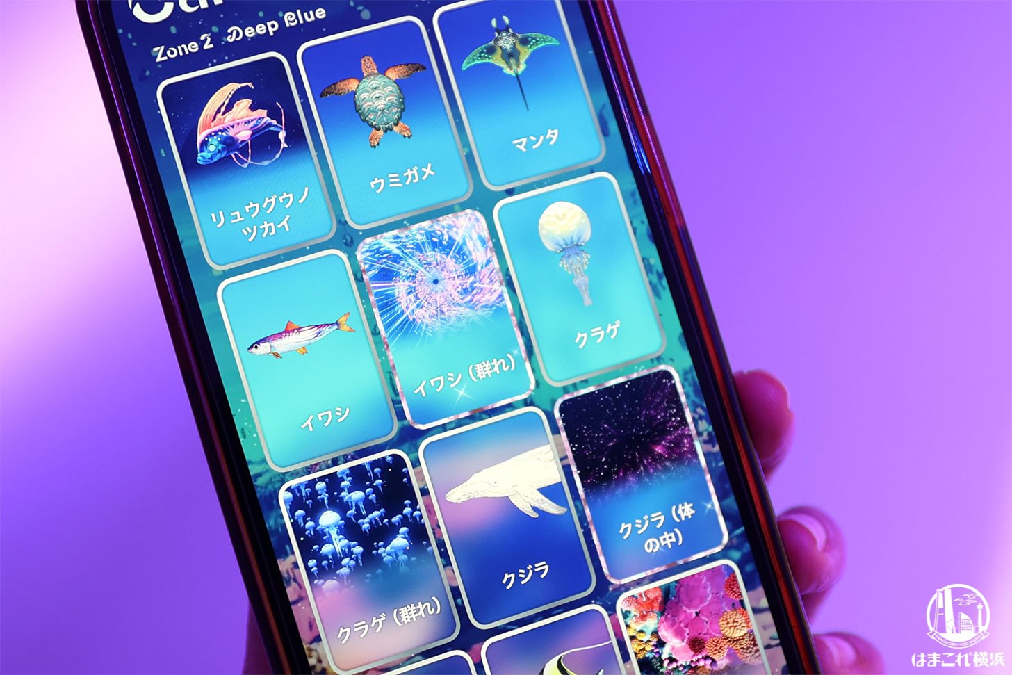 ワンダリアアプリ内のカード画面