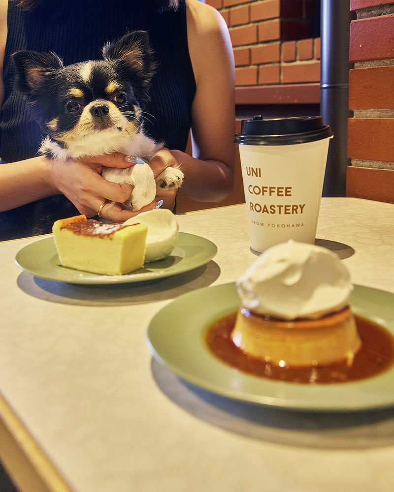 ワンちゃん同伴可能エリア