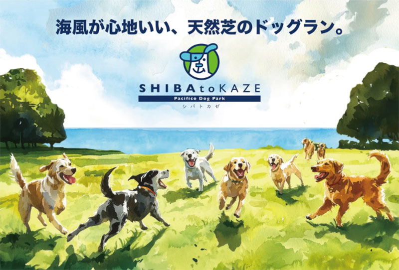 SHIBA to KAZE Pacifico Dog Park