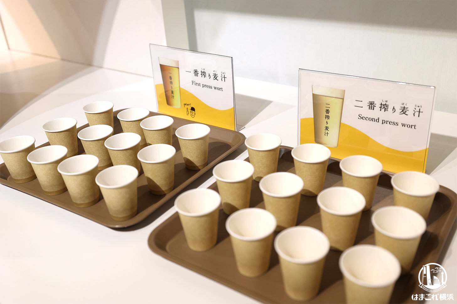 一番搾り麦汁と二番搾り麦汁の飲み比べ体験