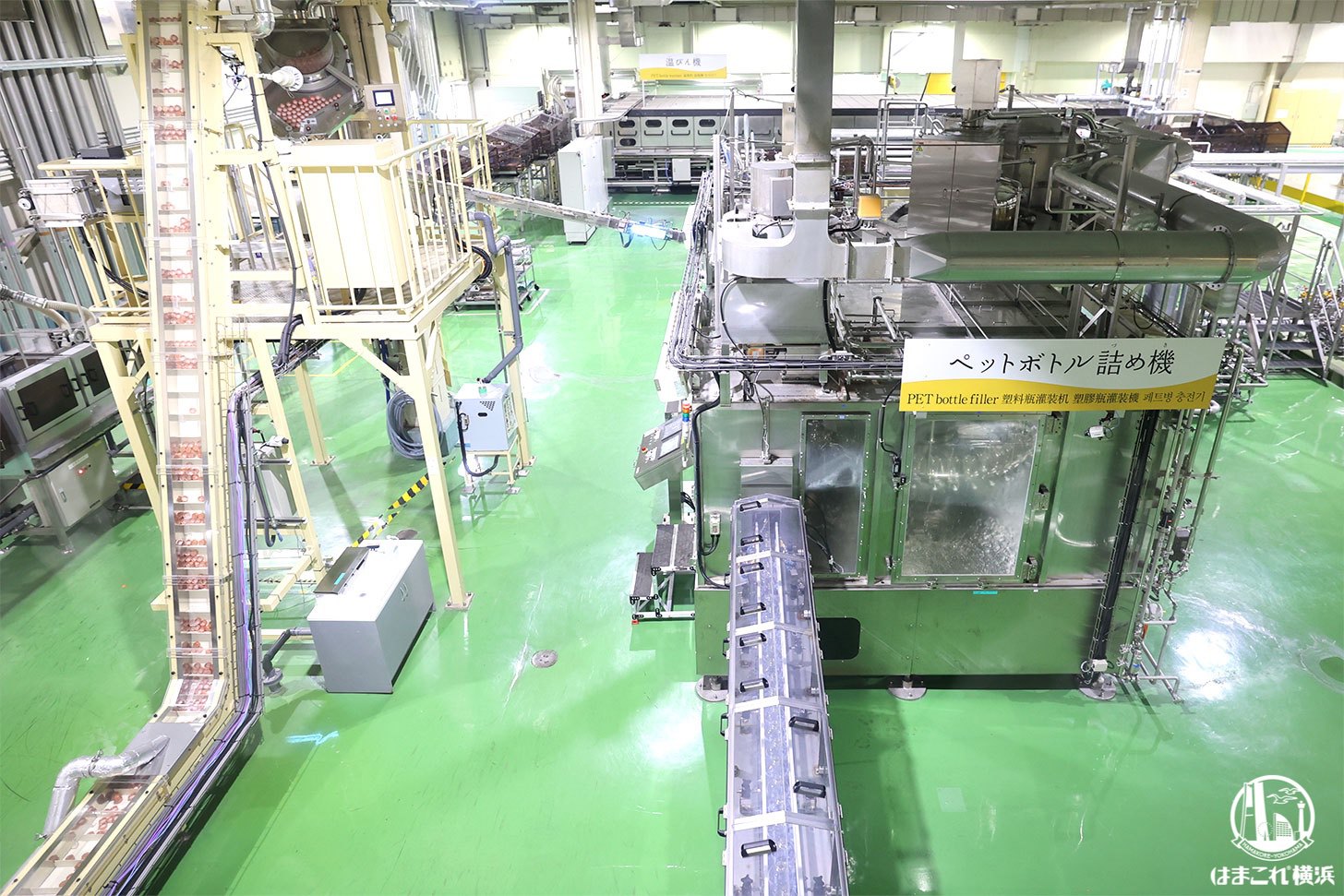 工場見学中のパッケージング工程（一部）