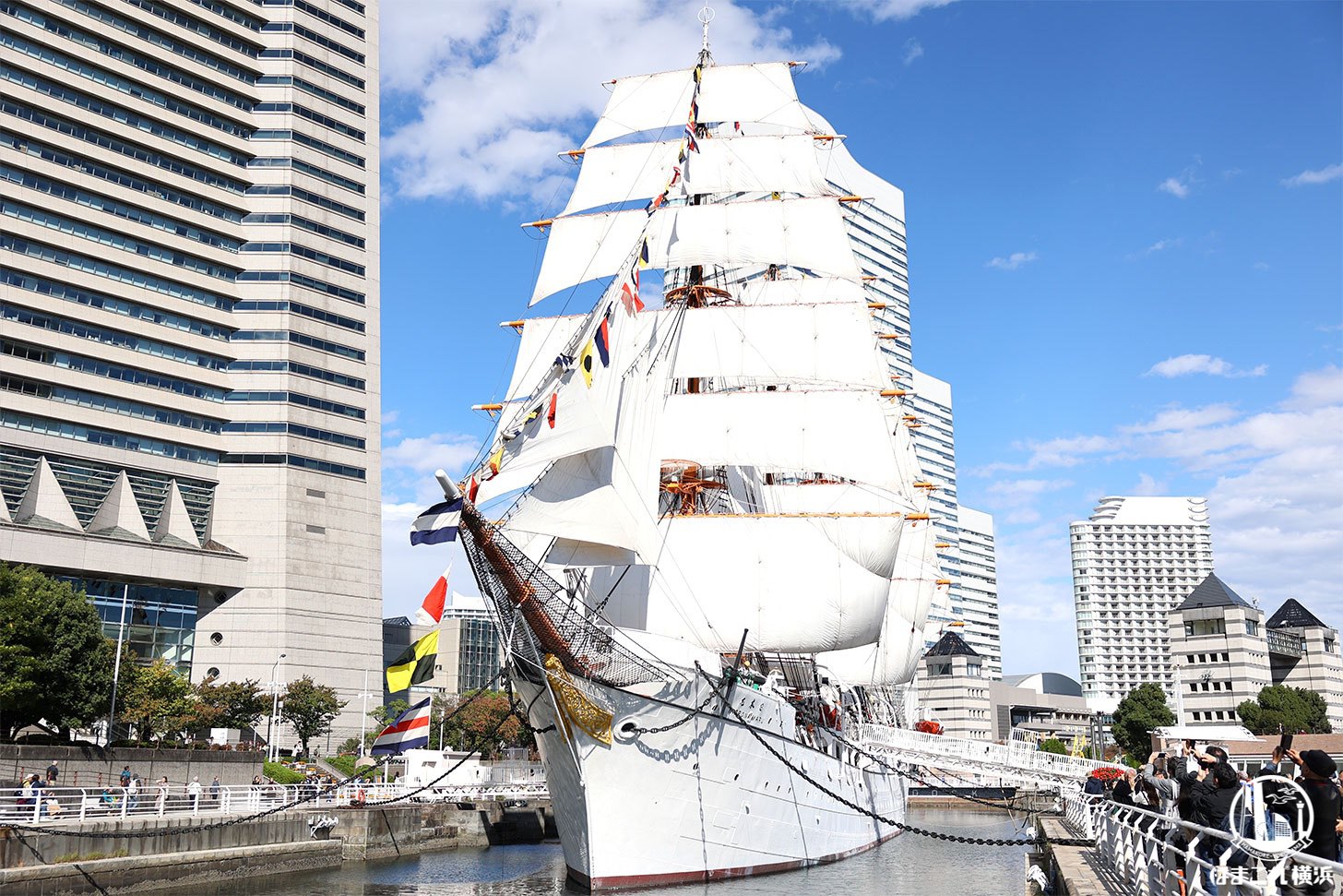 横浜の帆船日本丸「総帆展帆＆満船飾」2026年4月29日に開催！全ての帆を広げる圧巻の姿