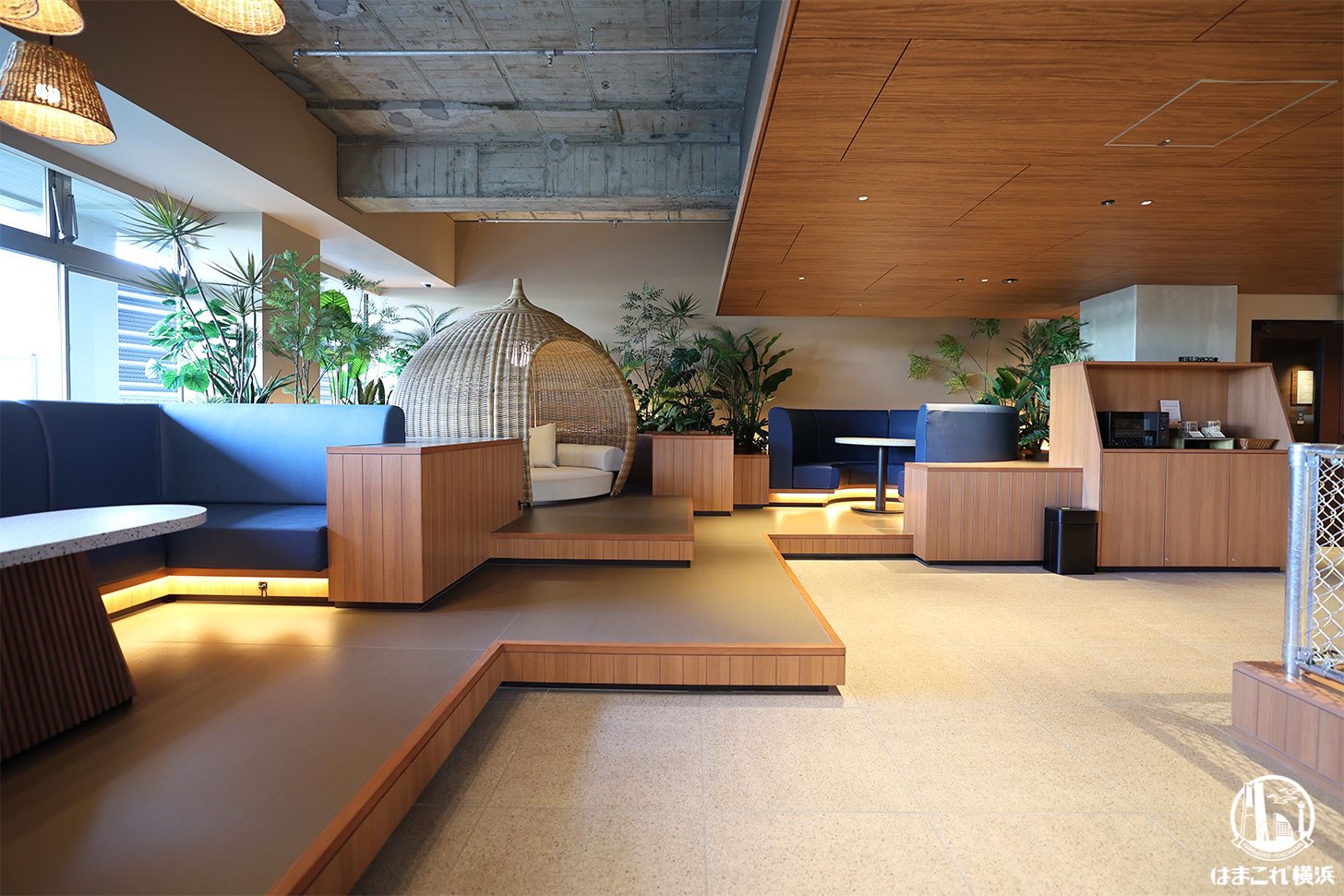 屋内ドッグラウンジ