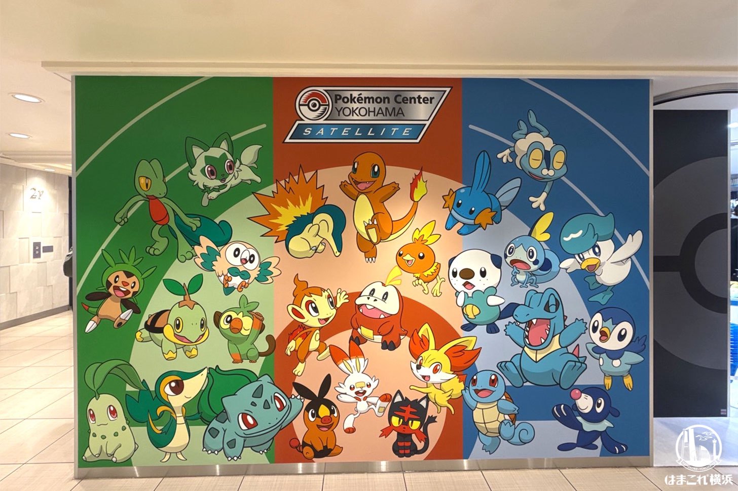 店頭のビジュアル