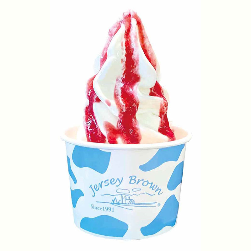 ヨーグルトinソフト