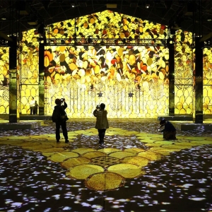 山下ふ頭「ザ・ムービアム ヨコハマ」中学生以下のチケットが会期終了まで無料に！映像×音の没⼊型アート空間