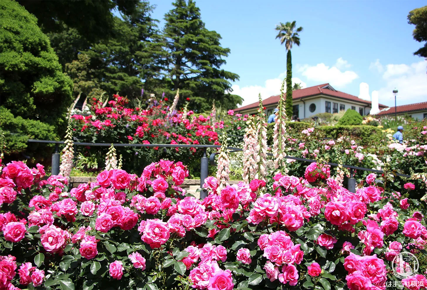 港の見える丘公園