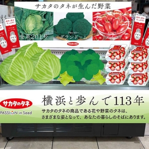 横浜高島屋とサカタのタネ初コラボ！オリジナル品種の野菜や先着プレゼント、タネまき企画などイベント開催