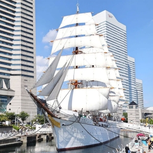 横浜の帆船日本丸「総帆展帆（そうはんてんぱん）」2026年5月6に開催！全ての帆を広げた圧巻の姿