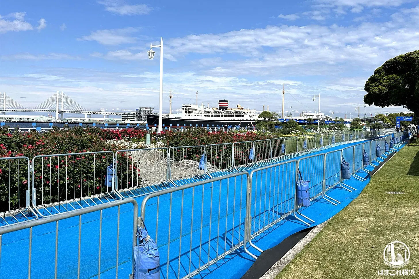 トライアスロン 山下公園の様子（過去撮影）