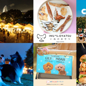 横浜の海沿い4施設「BAY WALK MARKET 2026」140店舗以上のマーケットやドッグランなど夏の夜遊び