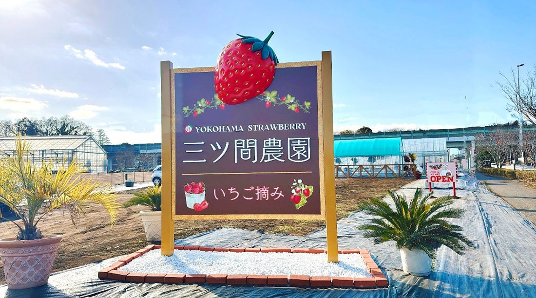 横浜高島屋「三ツ間農園」夏に贈る“完熟いちご”の新作メニュー誕生!削りいちご×ソフトや新感覚フロートなど