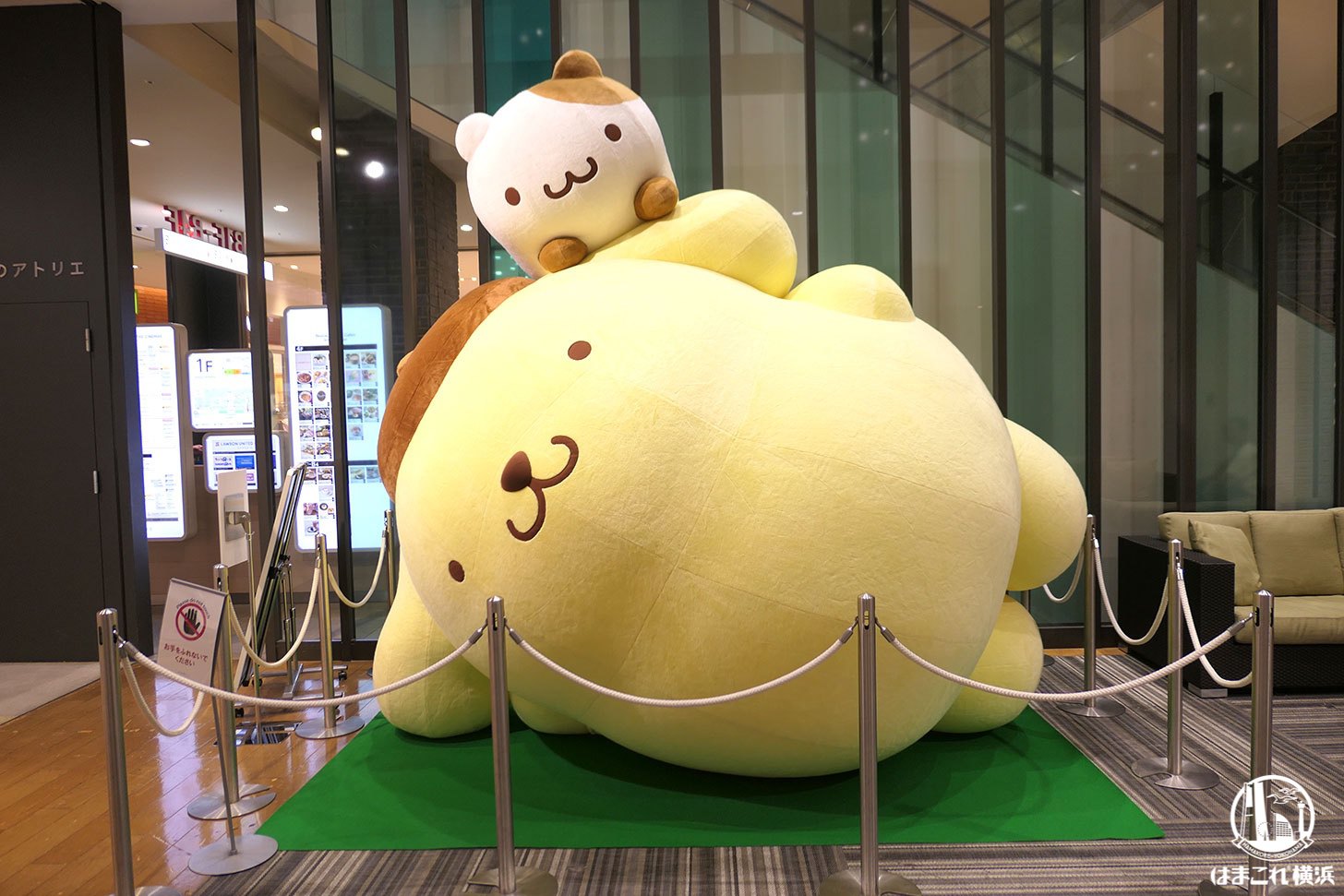 ポムポムプリン