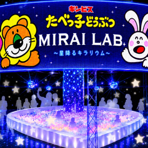 横浜駅アソビル「たべっ子どうぶつLAND」2026年夏に進化を遂げて再登場！星×光×デジタル演出の新体験