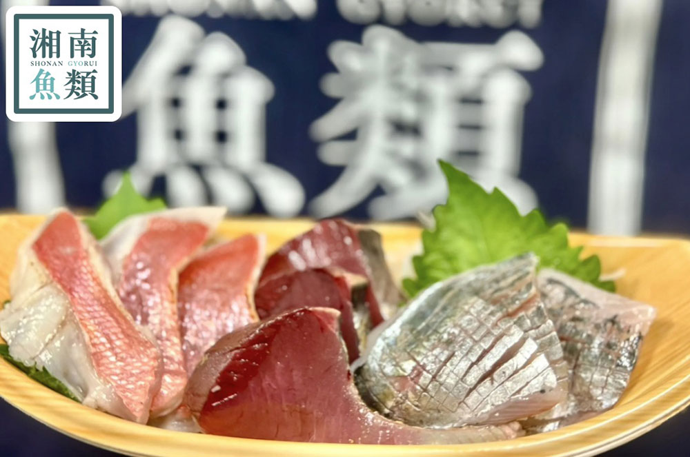 湘南魚類 小田原水産女子