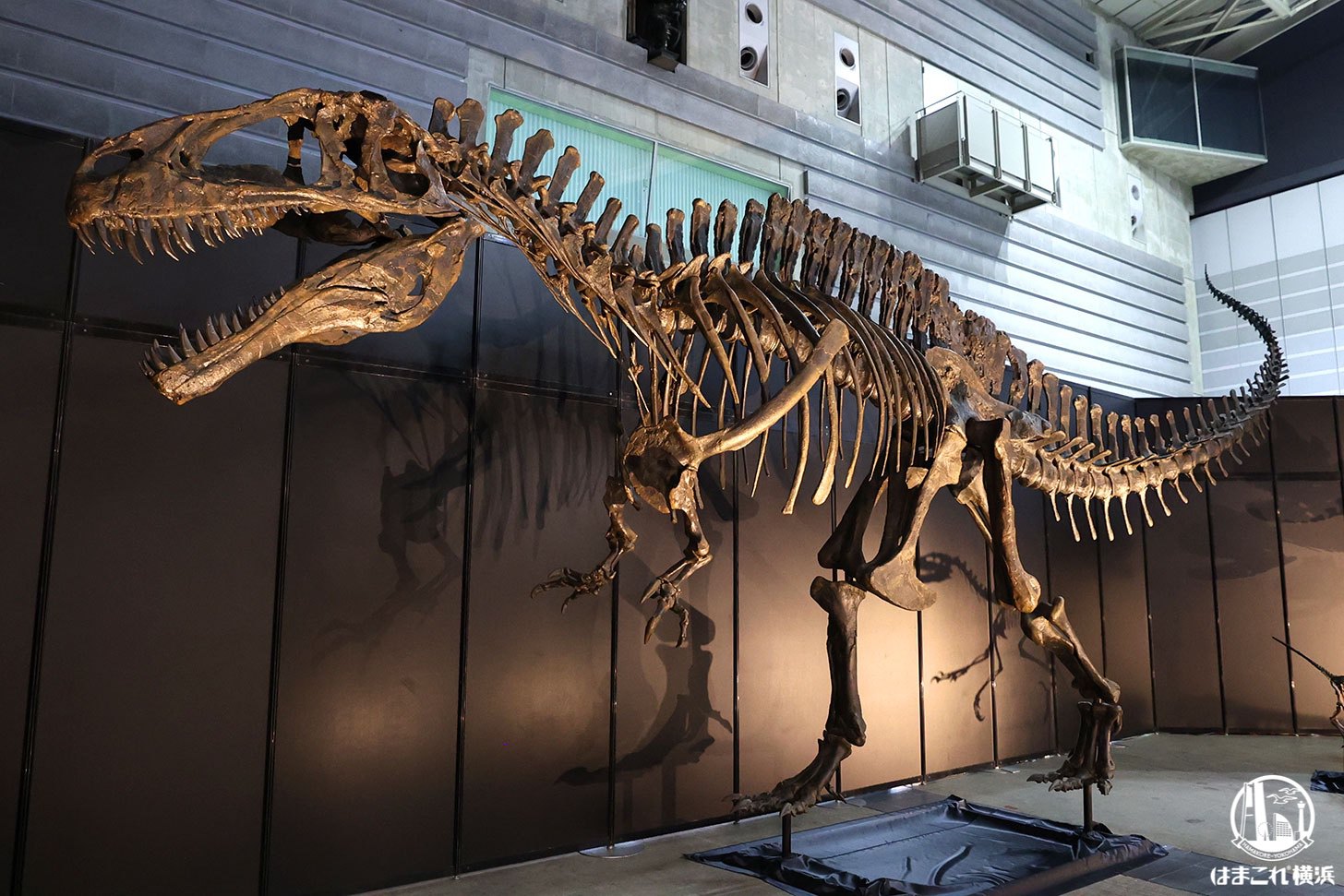 ヨコハマ恐竜展2026〜恐竜の食卓大図鑑〜