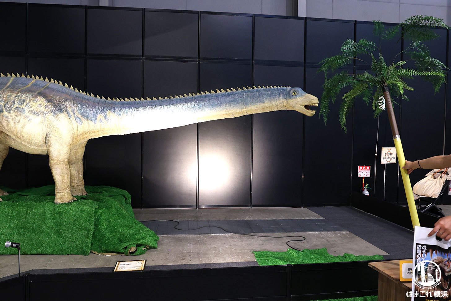 餌やり体験バロサウルスロボット