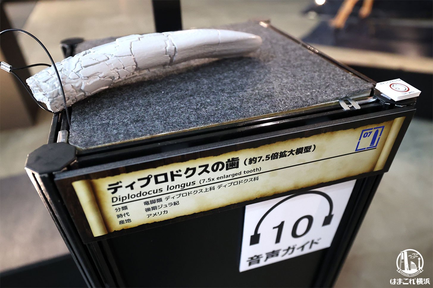 音声ガイド