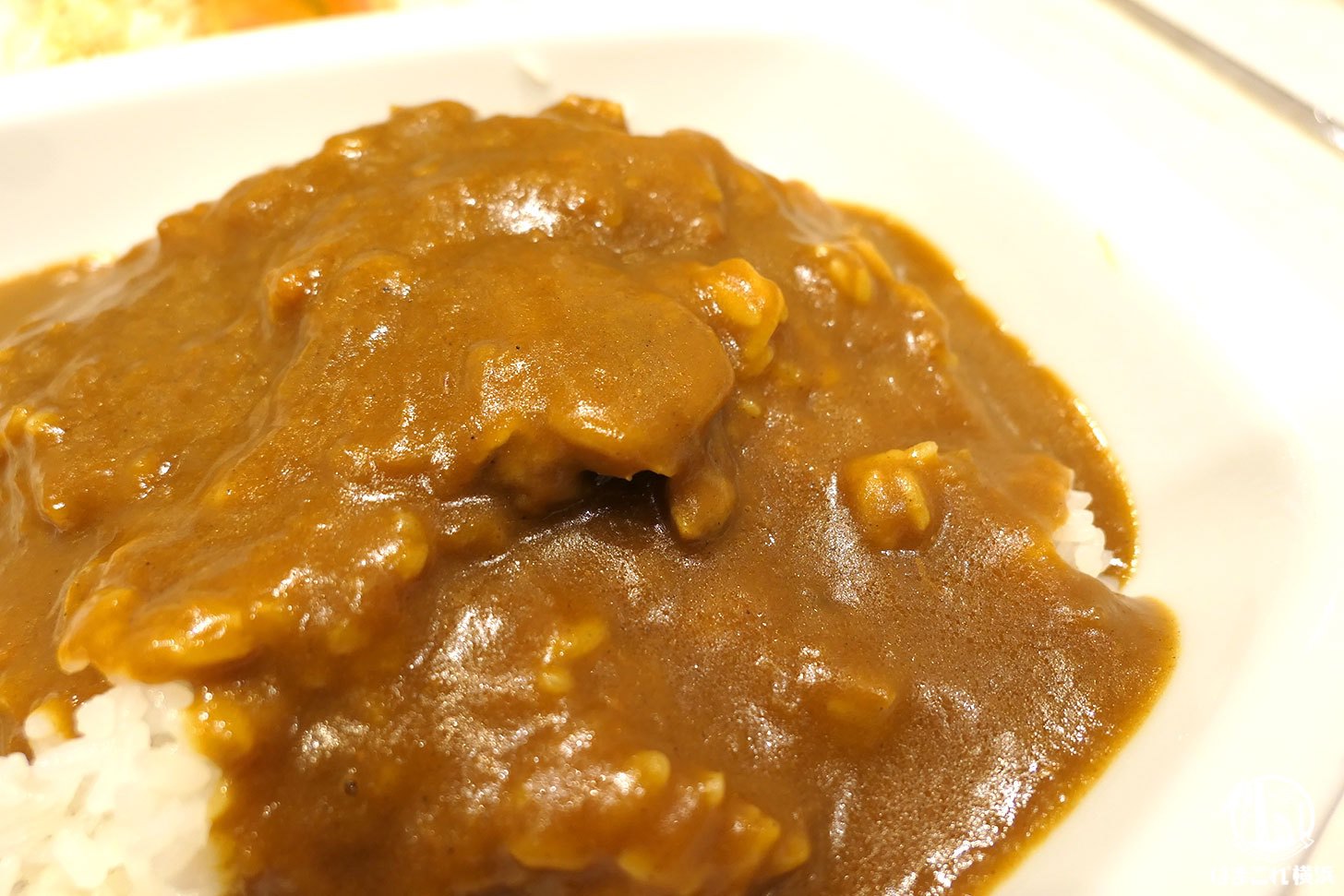 横浜駅の老舗「カレーハウス リオ」軽やかでスパイシーな一皿に魅了!小麦粉控えめで食べやすい美味い名店