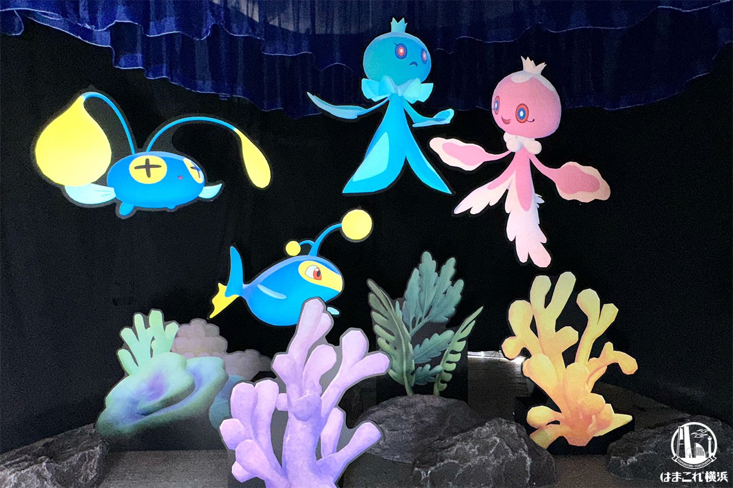 深海フォトスポット