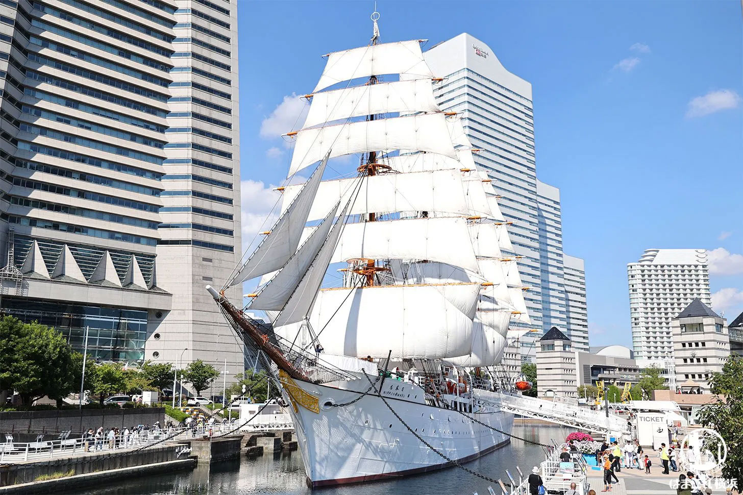 横浜の帆船日本丸「総帆展帆（そうはんてんぱん）」2026年9月20日に開催！全ての帆を広げた圧巻の姿