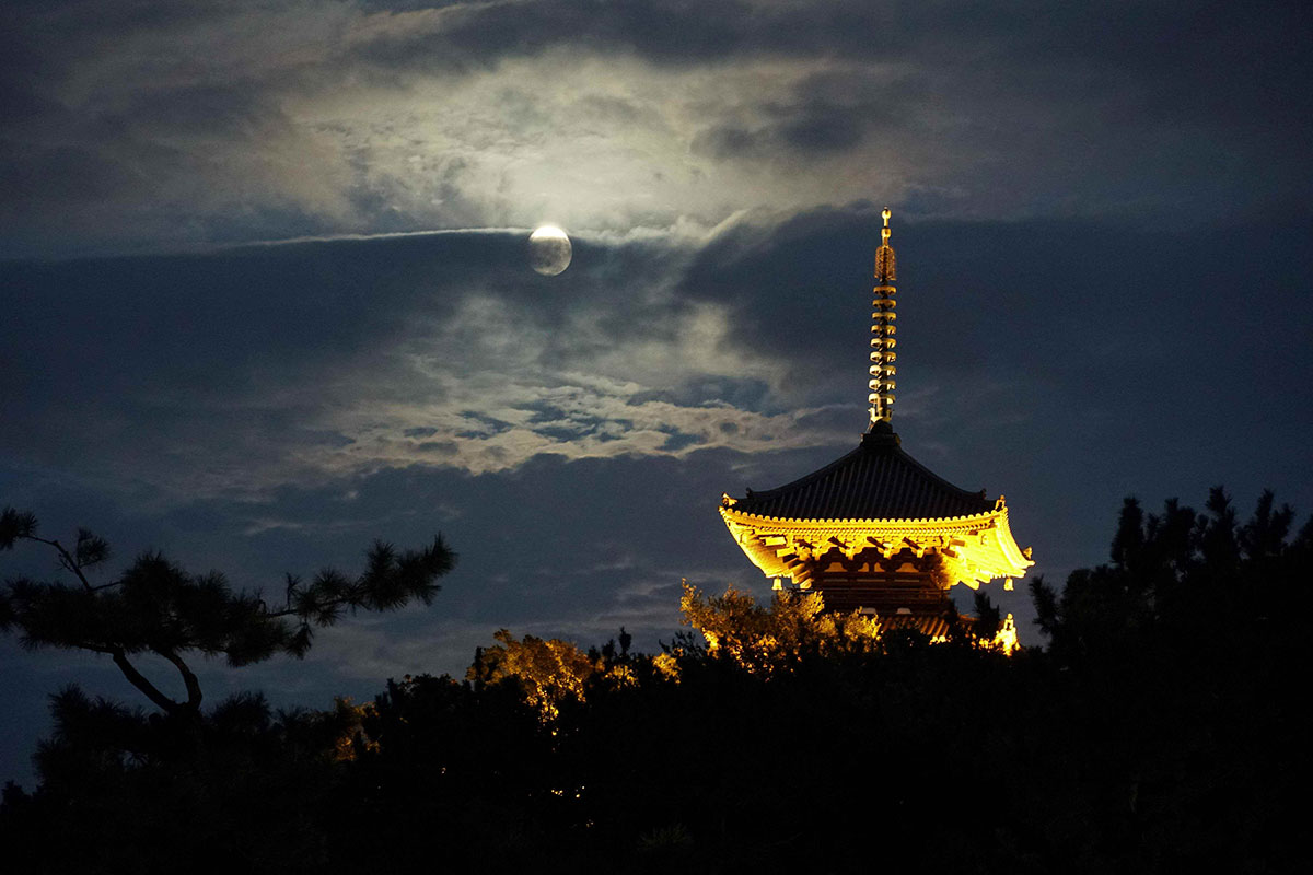 横浜・三溪園「観月会」2026年も開催！名建築×夜の庭園散策や重要文化財を舞台に日替わり演奏演舞も