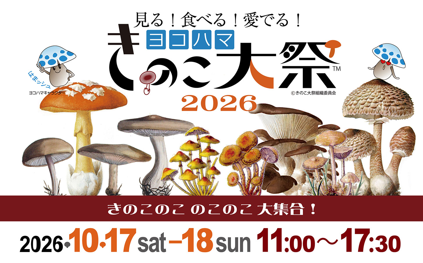 ヨコハマきのこ大祭2026がMMテラスで今週開催！見て・食べて・愛でる秋恒例きのこ尽くしイベント