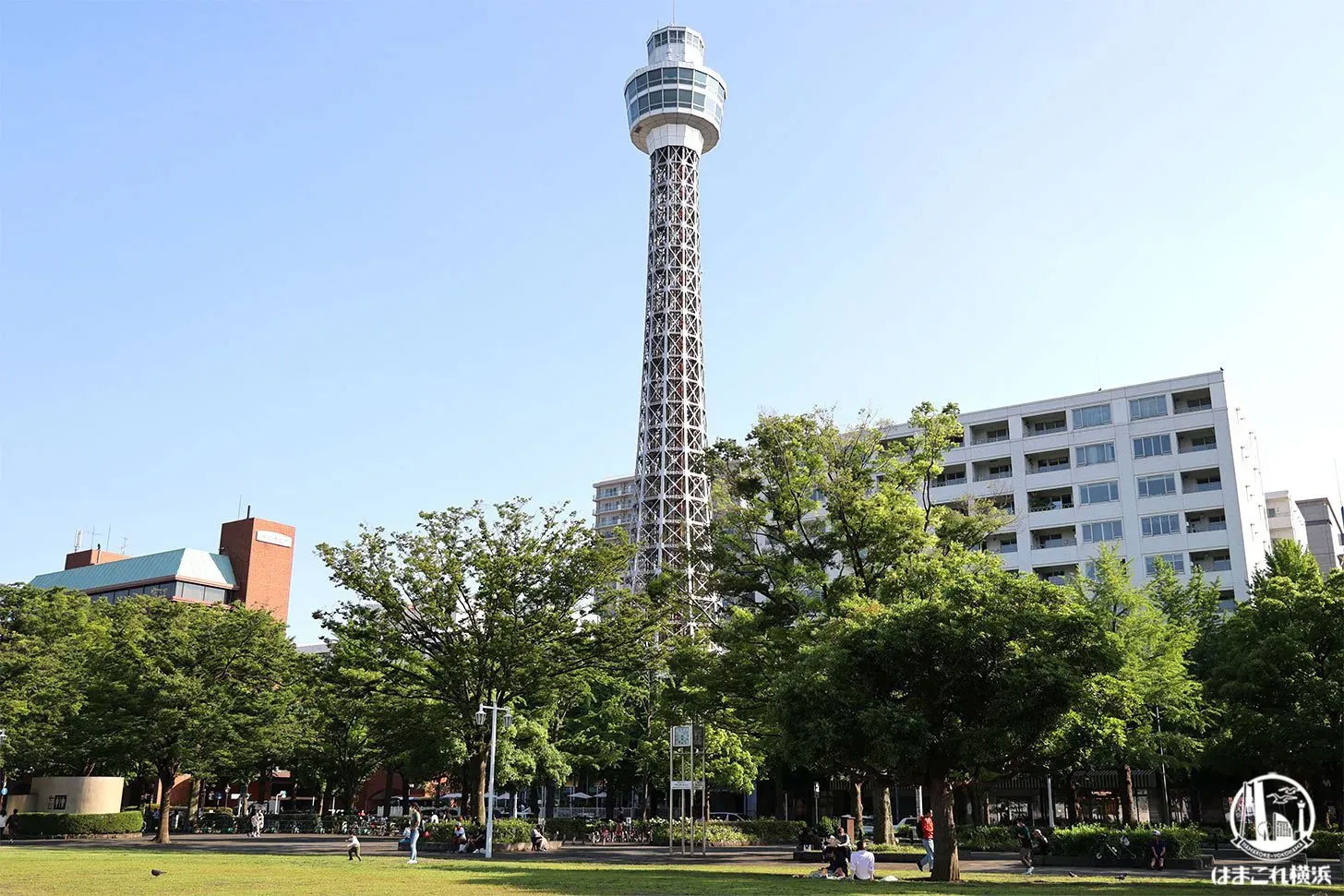横浜マリンタワーの階段を登るイベント約2年ぶりに開催！普段は入室できないエリアから貴重な景色を思い出に