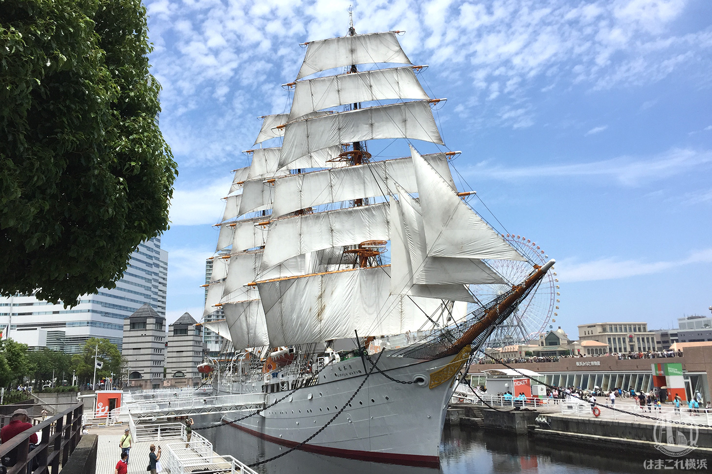 日本丸メモリアルパーク 帆船日本丸 横浜みなと博物館 はまこれ横浜