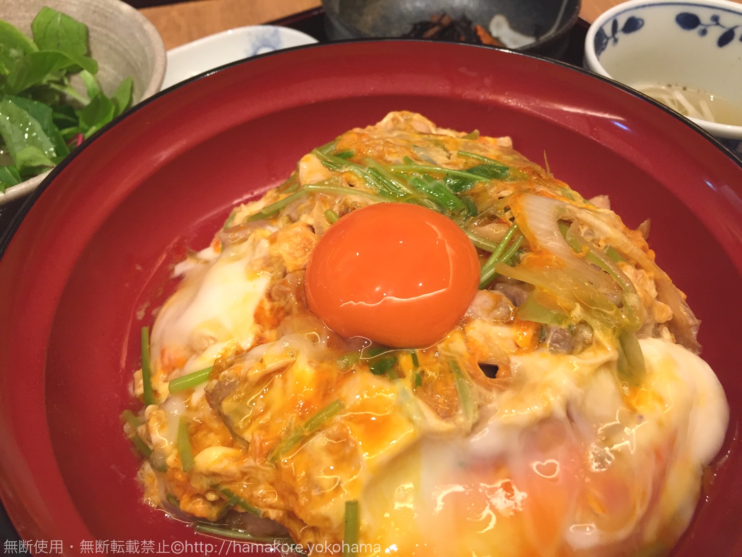 金賞受賞！鳥幸食堂 ヨドバシ横浜の親子丼は究極卵を使ったトロットロの絶品グルメ