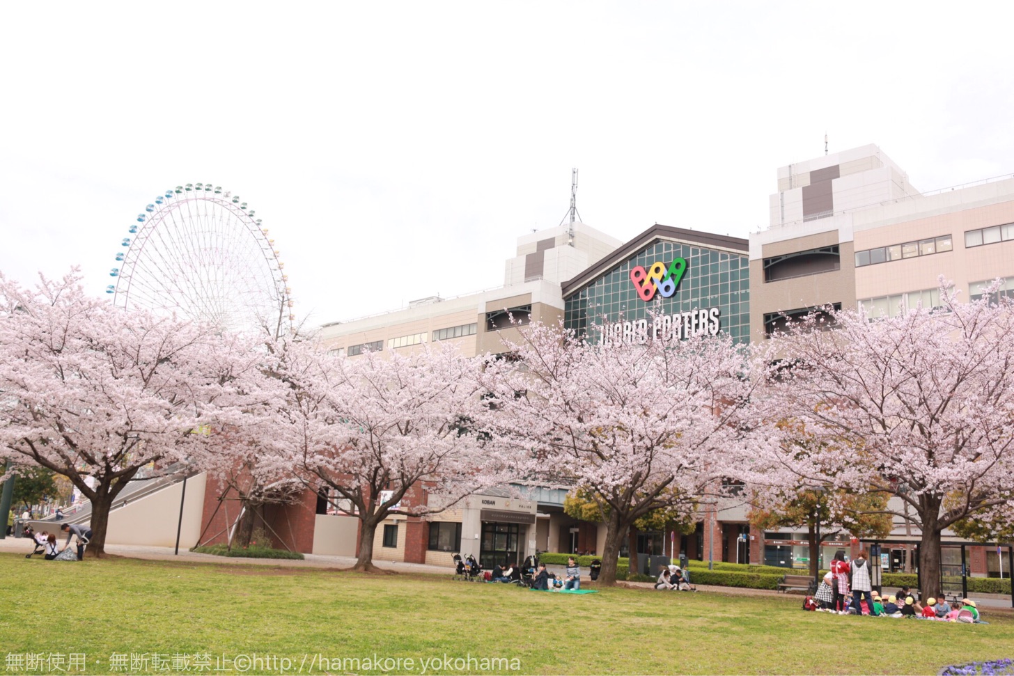 横浜ワールドポーターズの前の広場でお花見