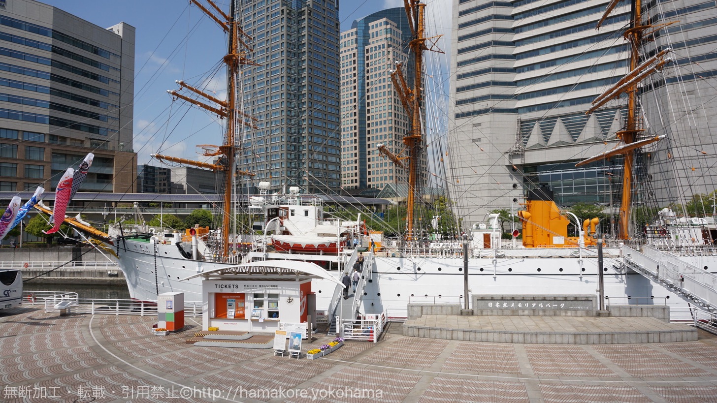 2016年 日本丸の総帆展帆スケジュール